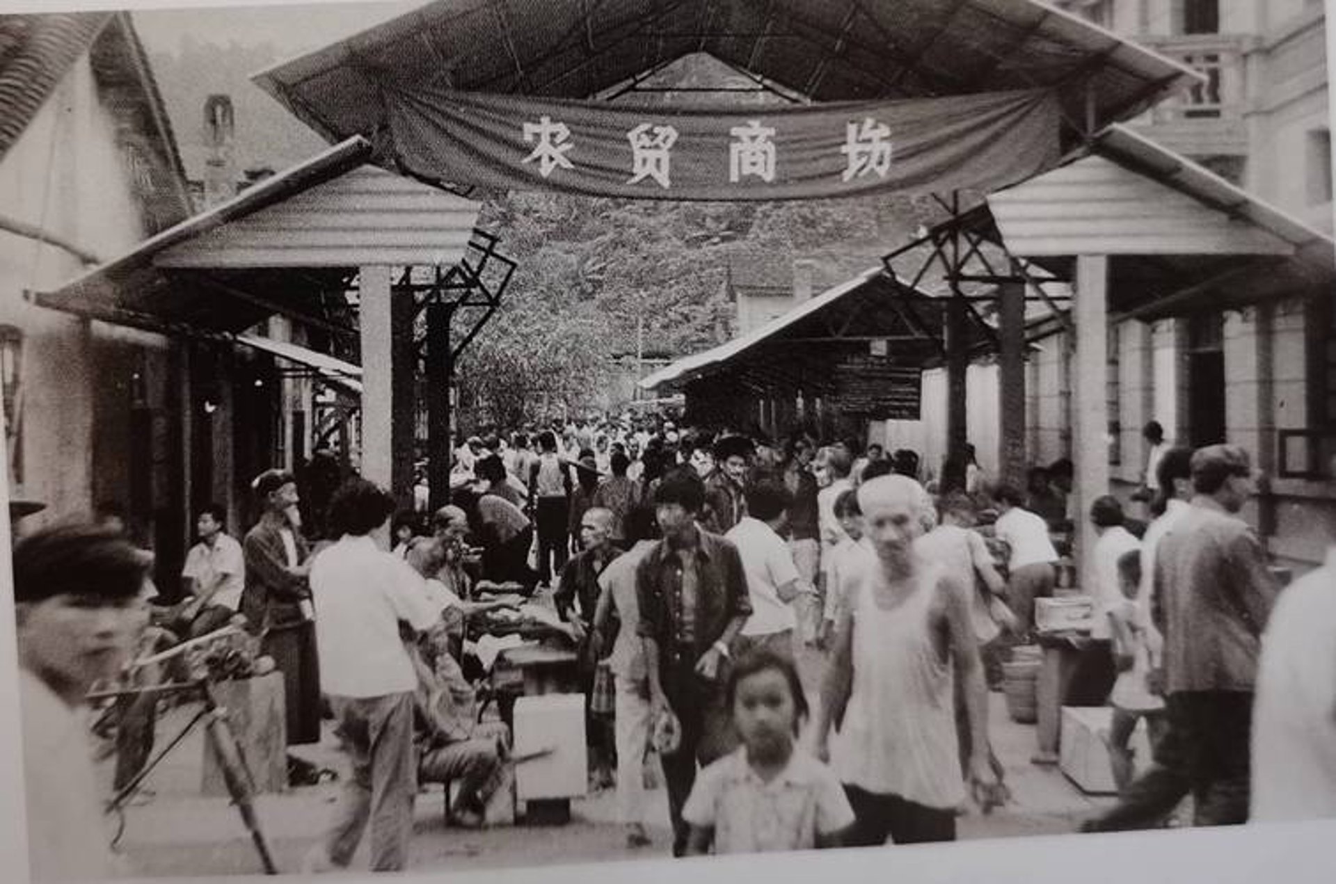 海口发撒商贸